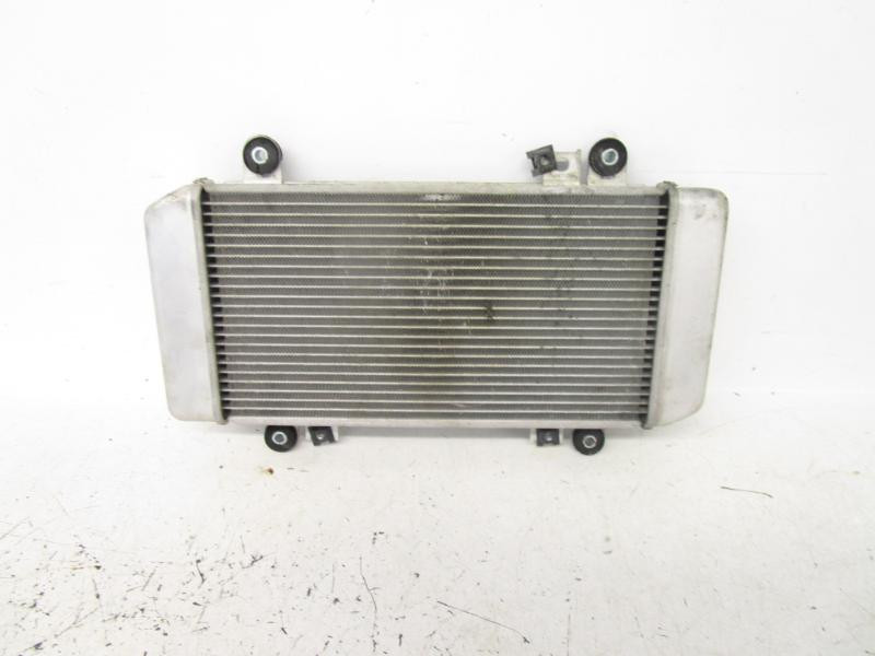 11 Kawasaki EX 250 Ninja Radiator 39061-0122 2008-2012 - cyclesrus.net